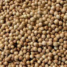 moroccan seeds
