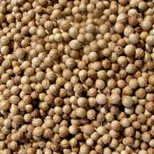 american seeds